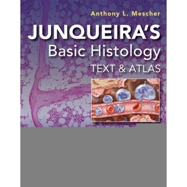 Junqueira's Basic Histology: Text and Atlas, Seventeenth Edition 17th edition