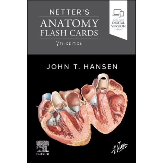 Netter's Anatomy Flash Cards 7th edition 