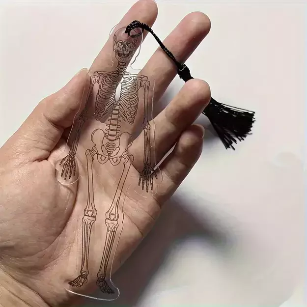 Knygų skirtukas skeletas