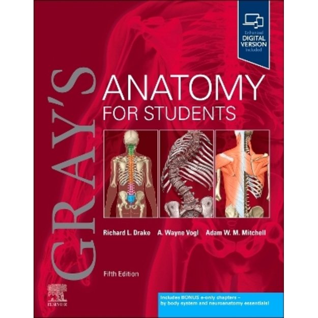 Gray's Anatomy for Students 5th edition