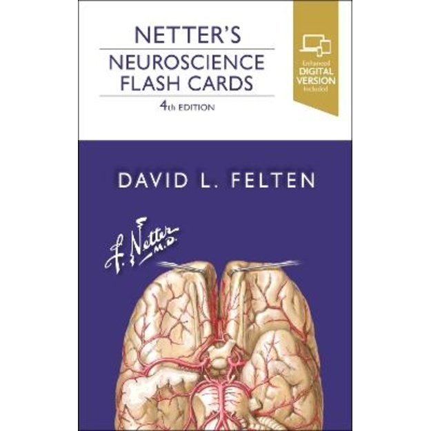 Netter's Neuroscience Flash Cards 4th edition