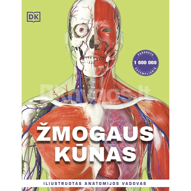 Žmogaus kūnas. Iliustruotas anatomijos vadovas 