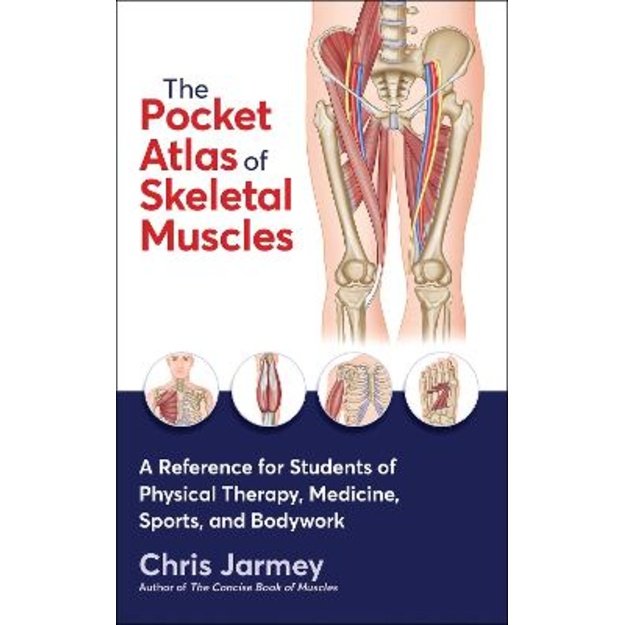 Pocket Atlas of Skeletal Muscles: A Reference for Students of Physical Therapy, Medicine, Sports, and Bodywork New edition