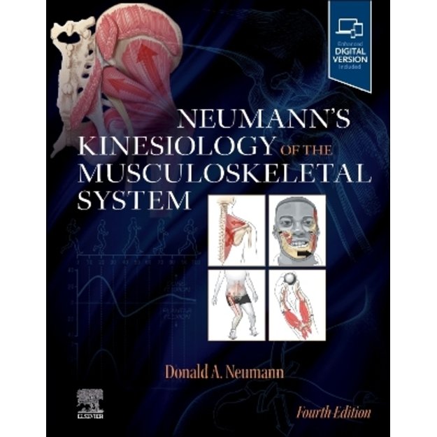 Neumann's Kinesiology of the Musculoskeletal System 4th edition