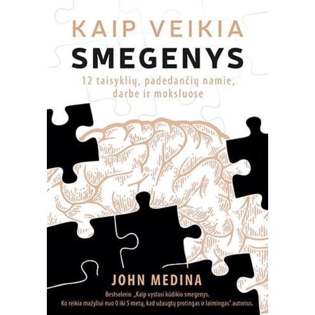 Kaip veikia smegenys. 12 taisyklių, padedančių namie, darbe ir moksluose 