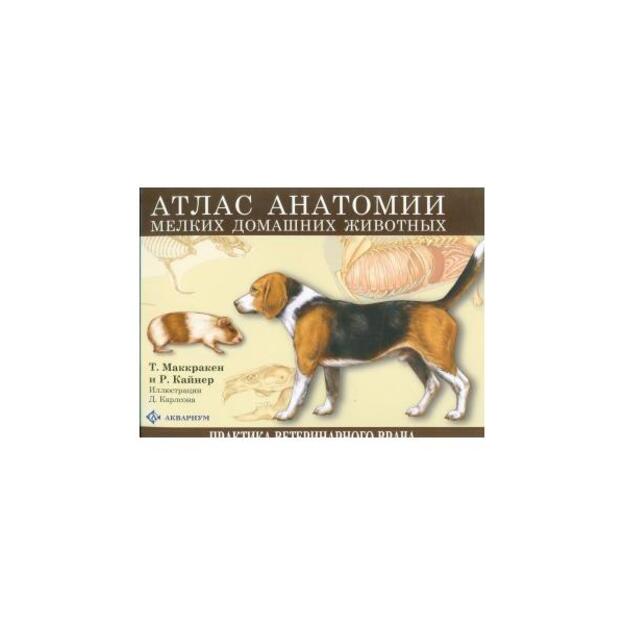 Атлас анатомии мелких домашних животных. Перевод  с английского