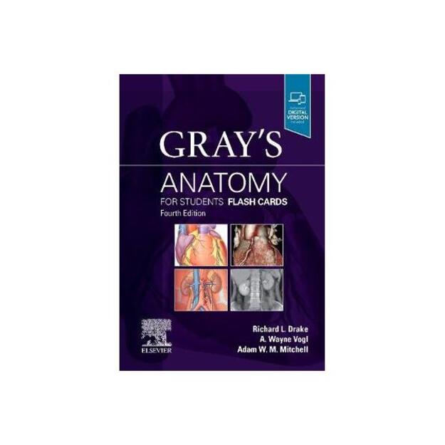 Gray's Anatomy for Students Flash Cards 4th Revised edition 