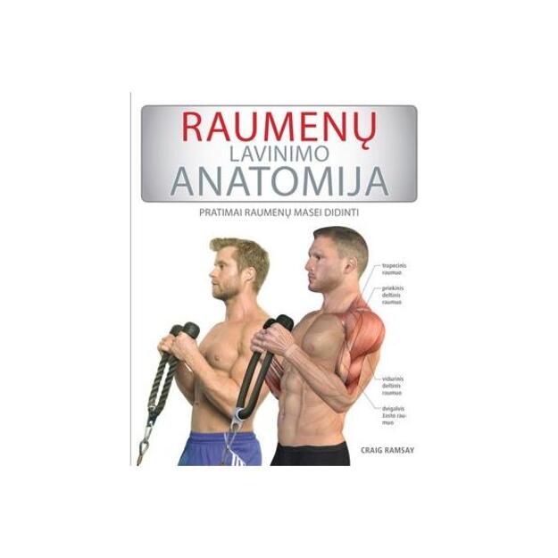 Raumenų lavinimo anatomija: pratimai raumenų masei didinti