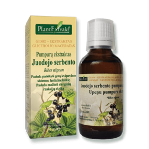 Juodųjų serbentų pumpurų ekstraktas
