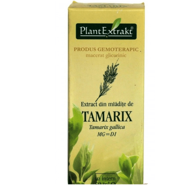 Prancūzinių eglūnų ūglių ekstraktas