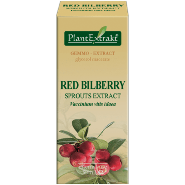 Bruknių ūglių ekstraktas.