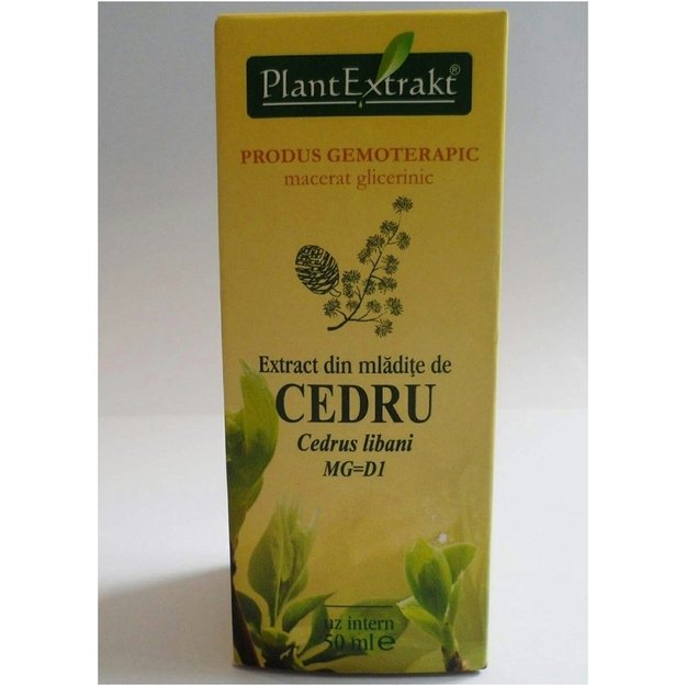 Libano kedrų ūglių ekstraktas