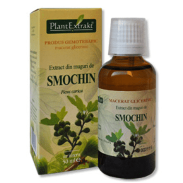 Skiautėtalapių fikusų ekstraktas