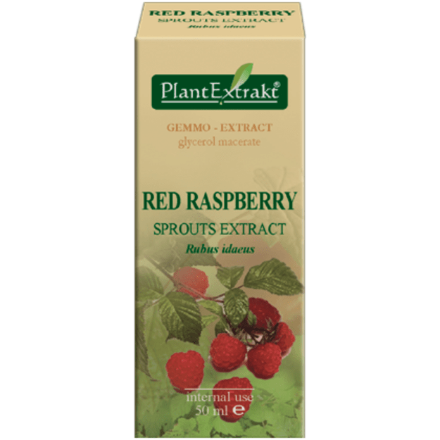 Paprastųjų aviečių ūglių ekstraktas